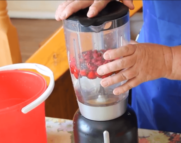 Harvesting strawberry seeds with a blender