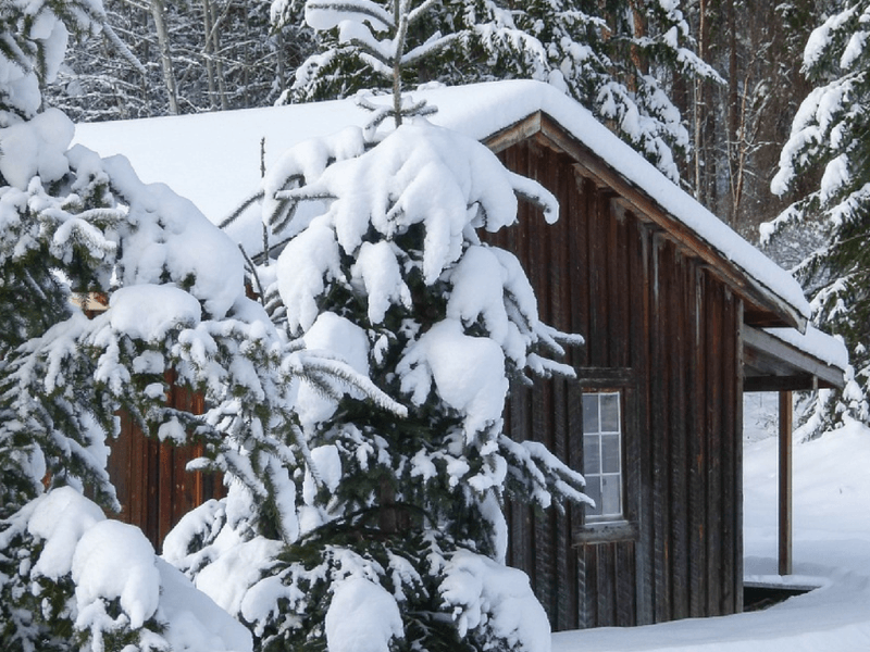 Lunar calendar of the gardener and gardener for february 2019