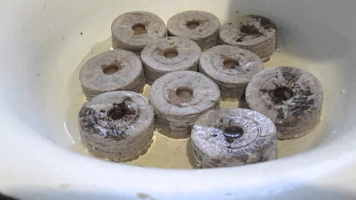 Soaking peat tablets