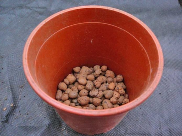 Expanded clay in a pot