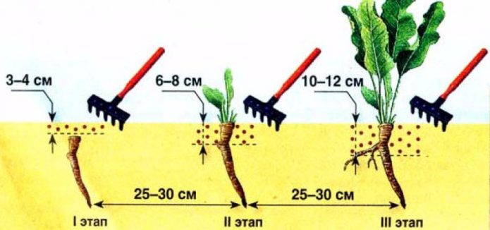 loosening the soil