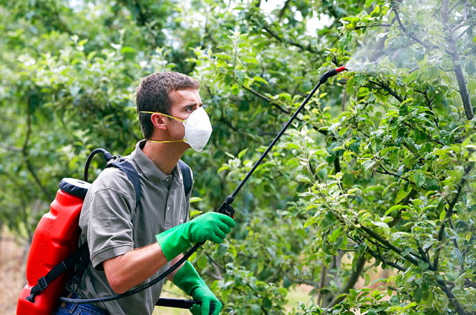 Man with sprayer in the garden