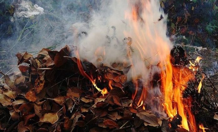 A bonfire of twigs and fallen leaves