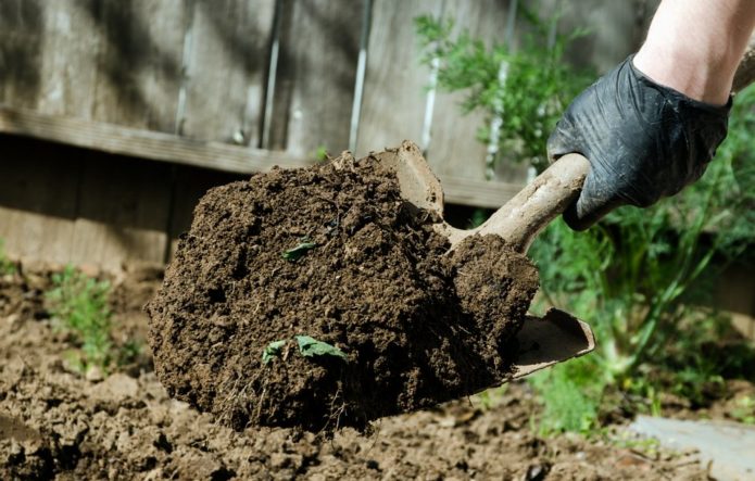 Digging the soil