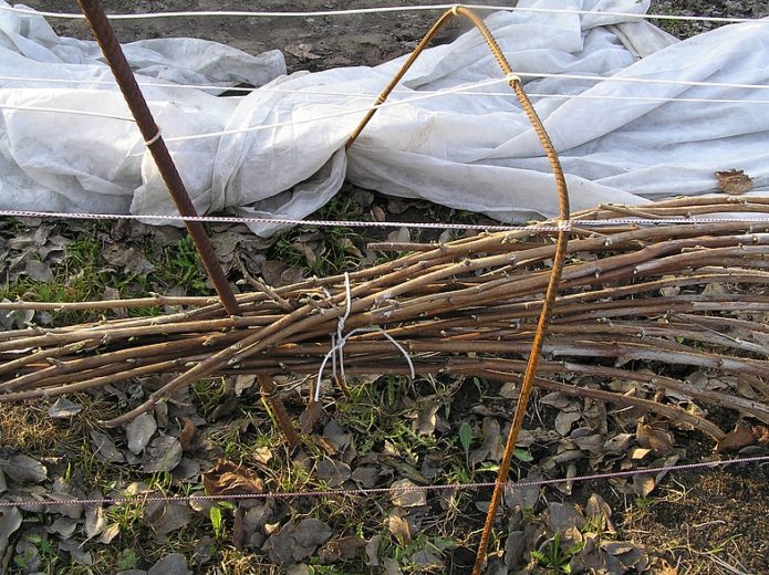 Raspberry shelter