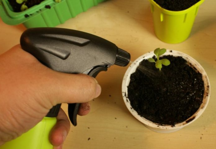 Watering after picking