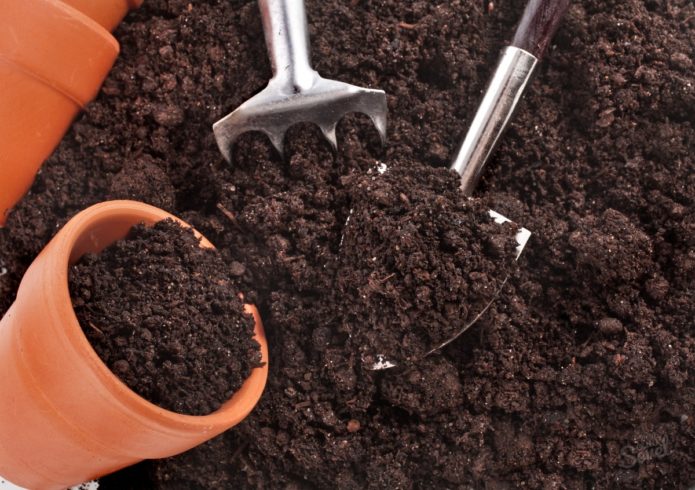 Filling the pots with soil