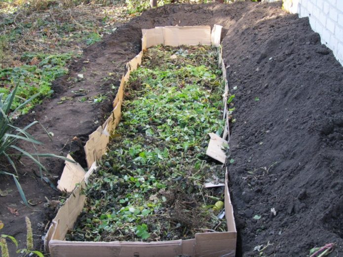 Preparing a high bed for raspberries