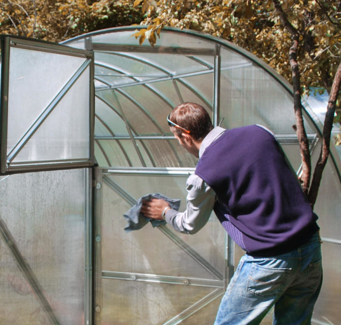 Greenhouse cleaning