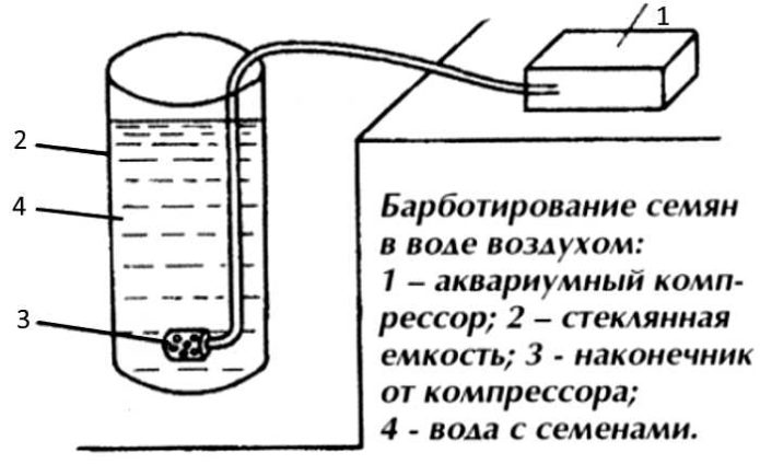 Seed bubbling scheme