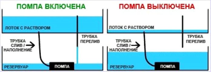 Hydroponic plant diagram