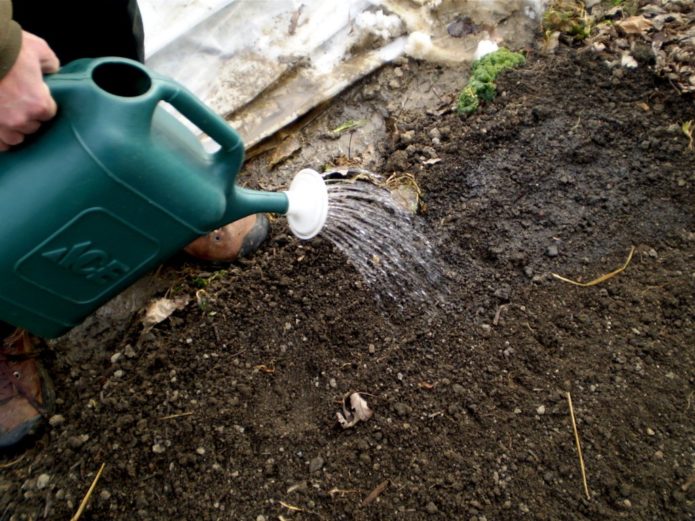 Watering