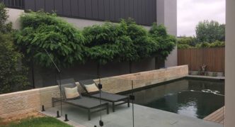 robinia in landscape design