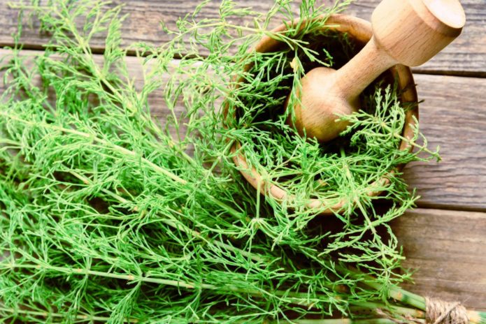 Grass and mortar on the table