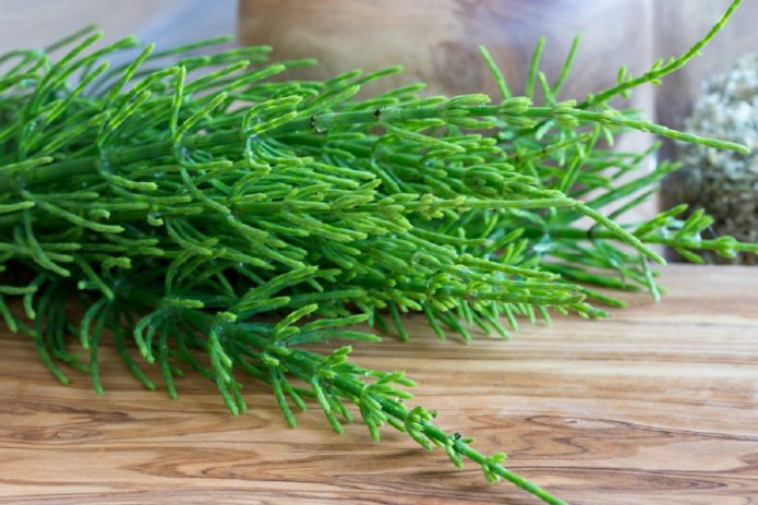 Grass on the table