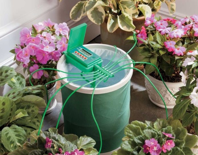 Automatic watering system for flowers