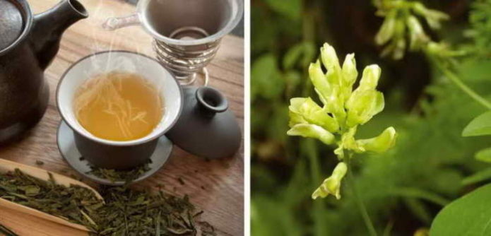 Astragalus herb tea