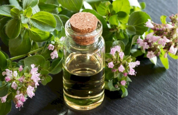 Oregano oil