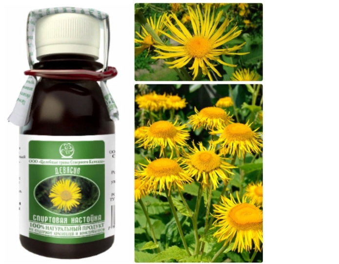 Alcoholic infusion of elecampane