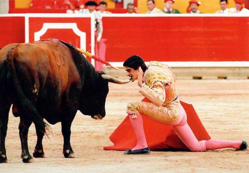 bullfight