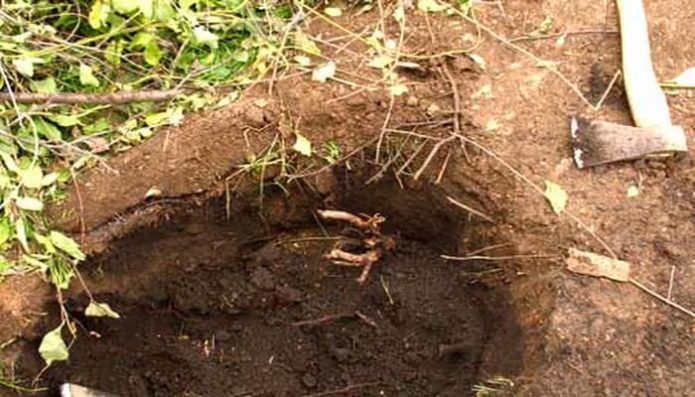 A pit covered with earth