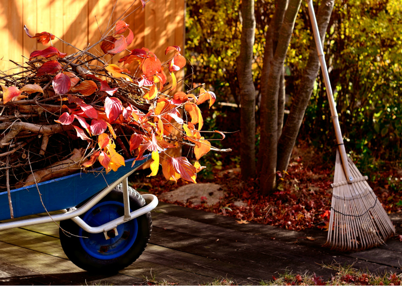 Gardener and gardener lunar calendar for october 2019