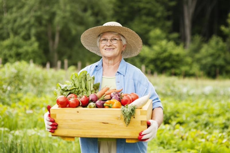 Lunar calendar of the gardener and gardener for September 2018