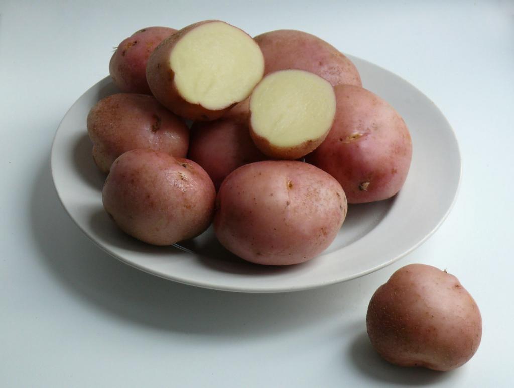 Romano potatoes - variety description