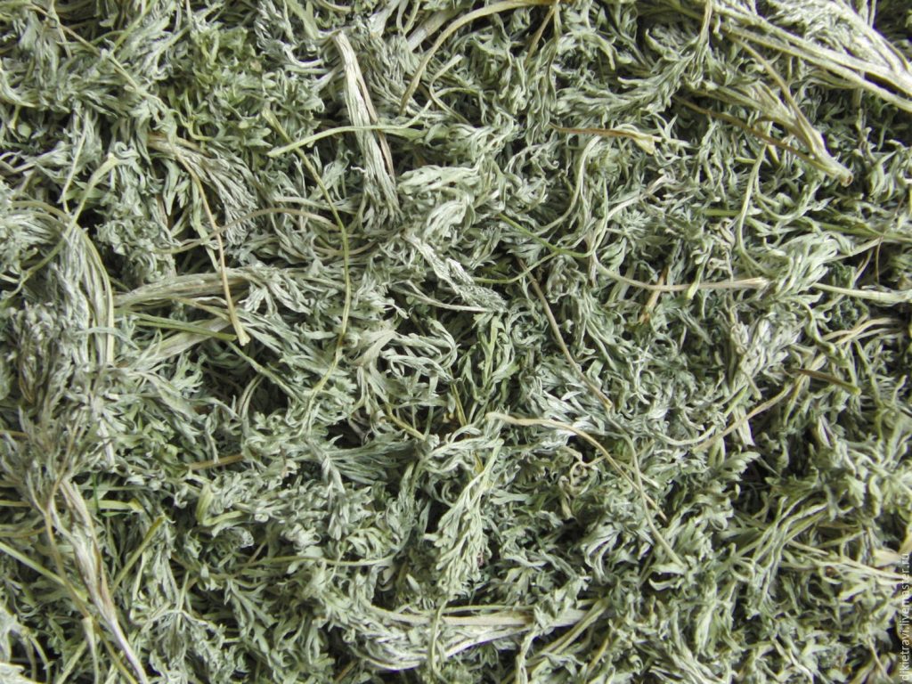 Dried bitter wormwood