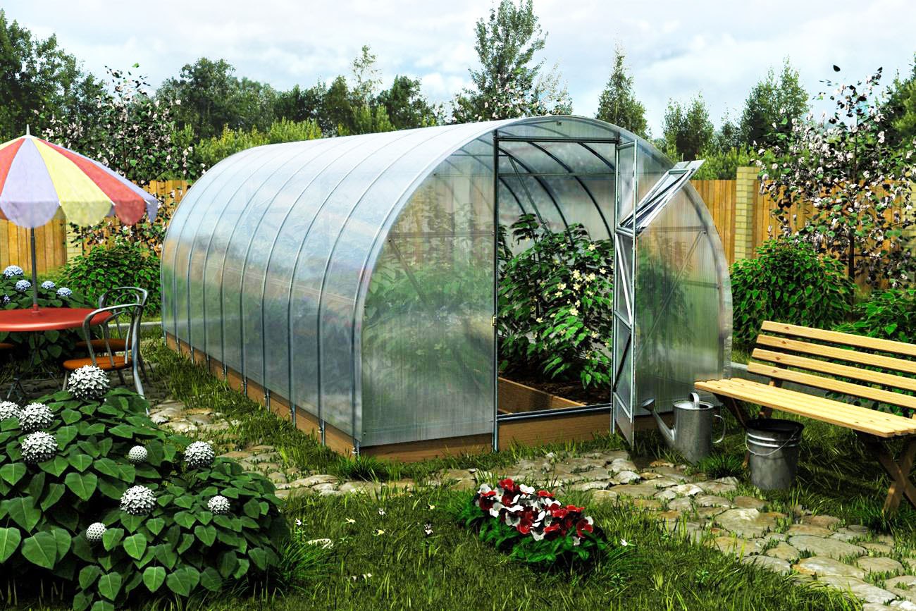 Which greenhouse is better to choose: varieties and reviews