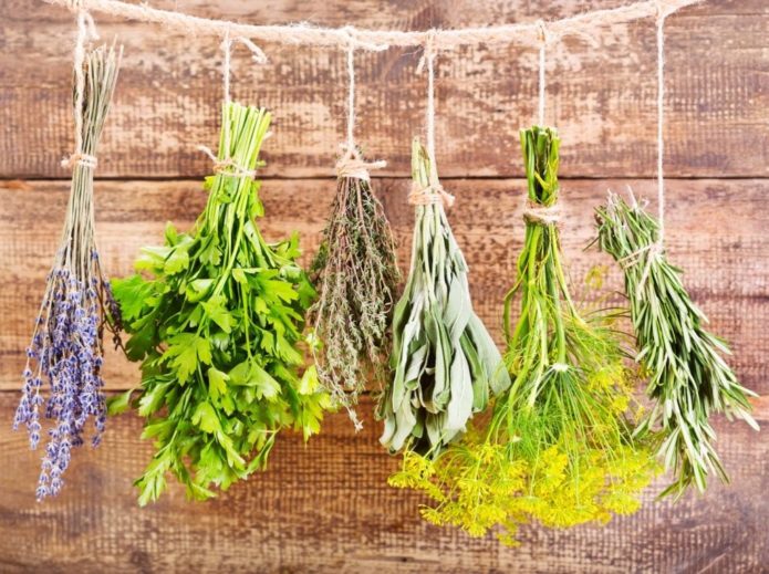 What herbs to collect in August