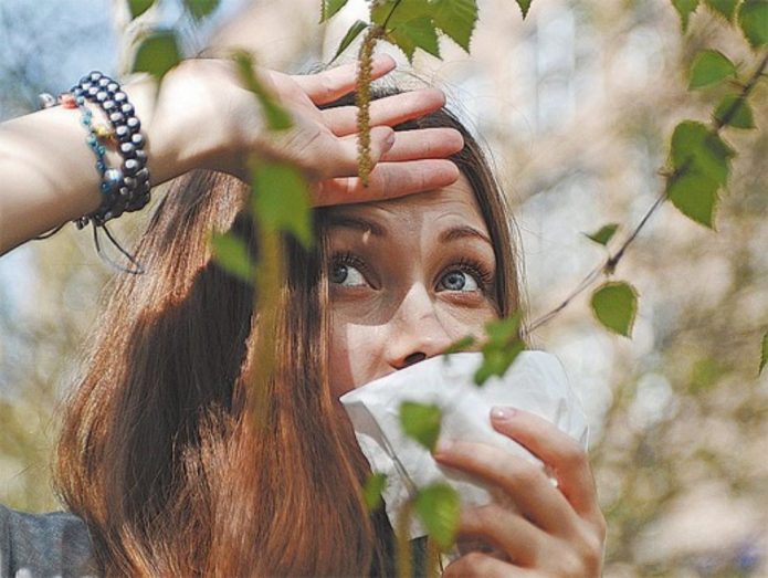 Allergy to birch pollen is a sign of possible harm from this drink