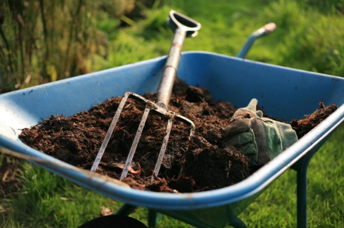 fertilization of grapes with manure