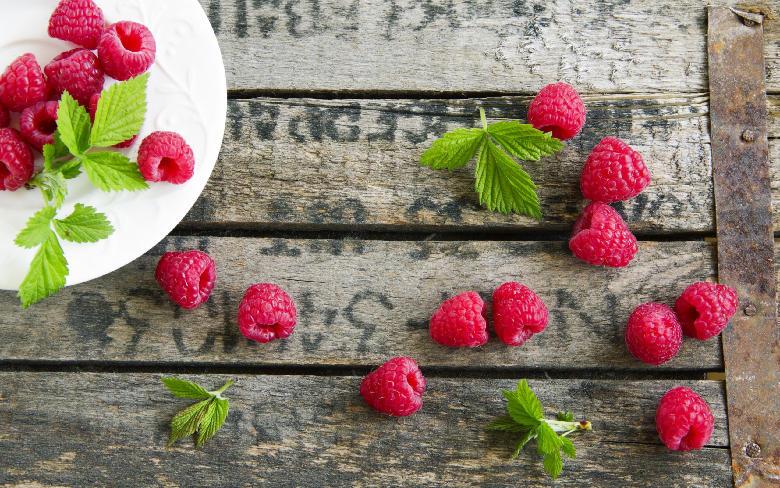 A modern assortment of raspberry varieties: how to choose the best, characteristics, photos