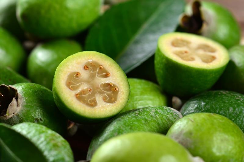 Useful properties of feijoa and contraindications to its use