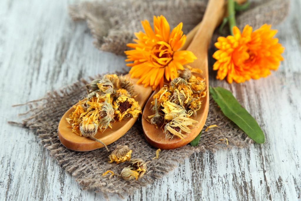 Live and dry calendula flowers and wooden spoons